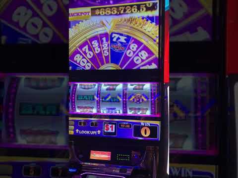 Stupid Casino – A Detailed Look at Game Providers top new player bonus from Stupid Casino