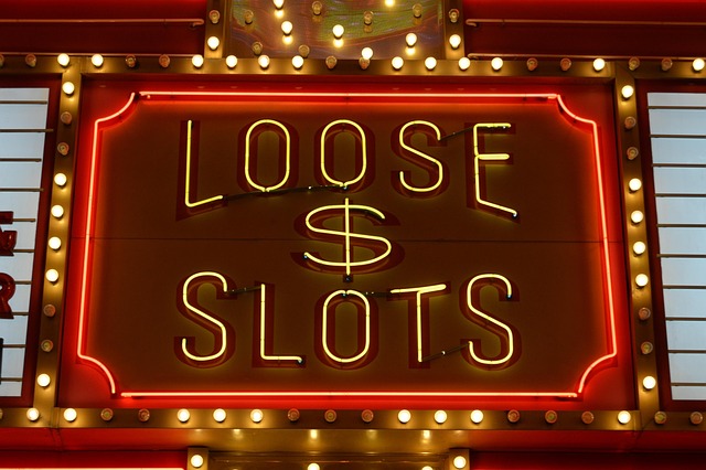 biggest Stupid Casino free spins promotion